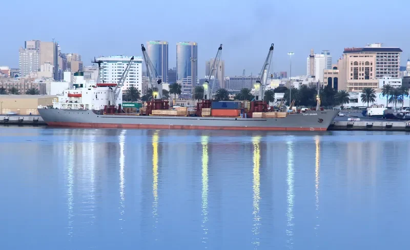 CAPT.OSAMA General Cargo IMO 7900596 photo 3