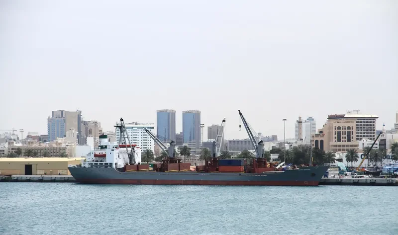 CAPT.OSAMA General Cargo IMO 7900596 photo 4