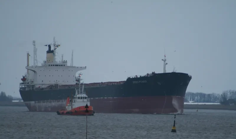 SPEED POWER Bulk Carrier IMO 7900704