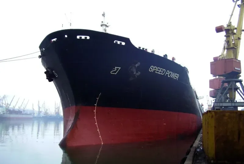 SPEED POWER Bulk Carrier IMO 7900704 photo 2