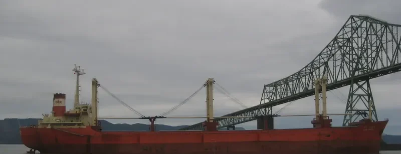 SAMMI CRYSTAL Bulk Carrier IMO 7900986 photo 5