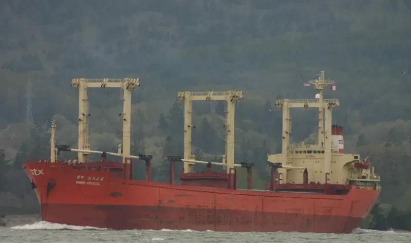 SAMMI CRYSTAL Bulk Carrier IMO 7900986 photo 8