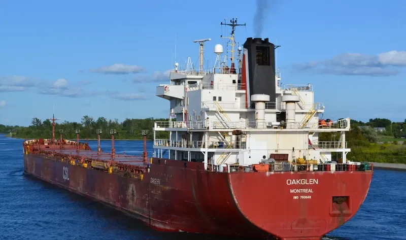 OAKGLEN Bulk Carrier IMO 7901148 photo 5