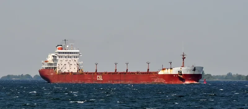 OAKGLEN Bulk Carrier IMO 7901148 photo 10