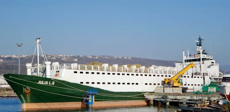 JULIA L.S General Cargo IMO 7901693 photo 2