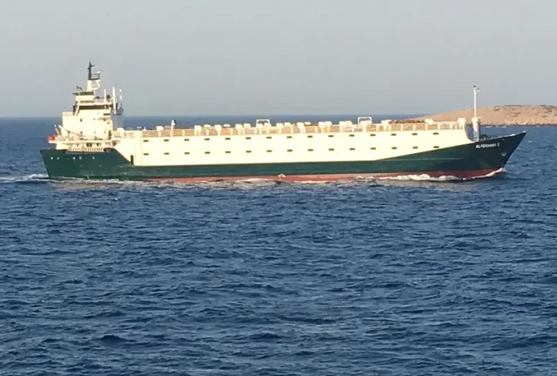 JULIA L.S General Cargo IMO 7901693 photo 8