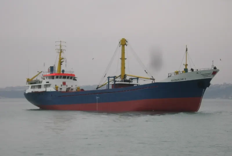 KALE NAKLIYAT 2 General Cargo IMO 7901825 photo 8