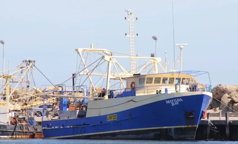 MATILDA BAY Fishing Vessel IMO 7902128