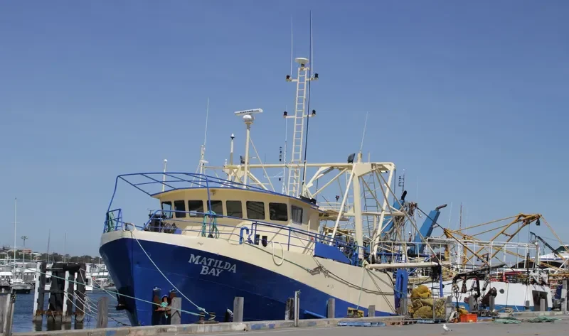 MATILDA BAY Fishing Vessel IMO 7902128 photo 2