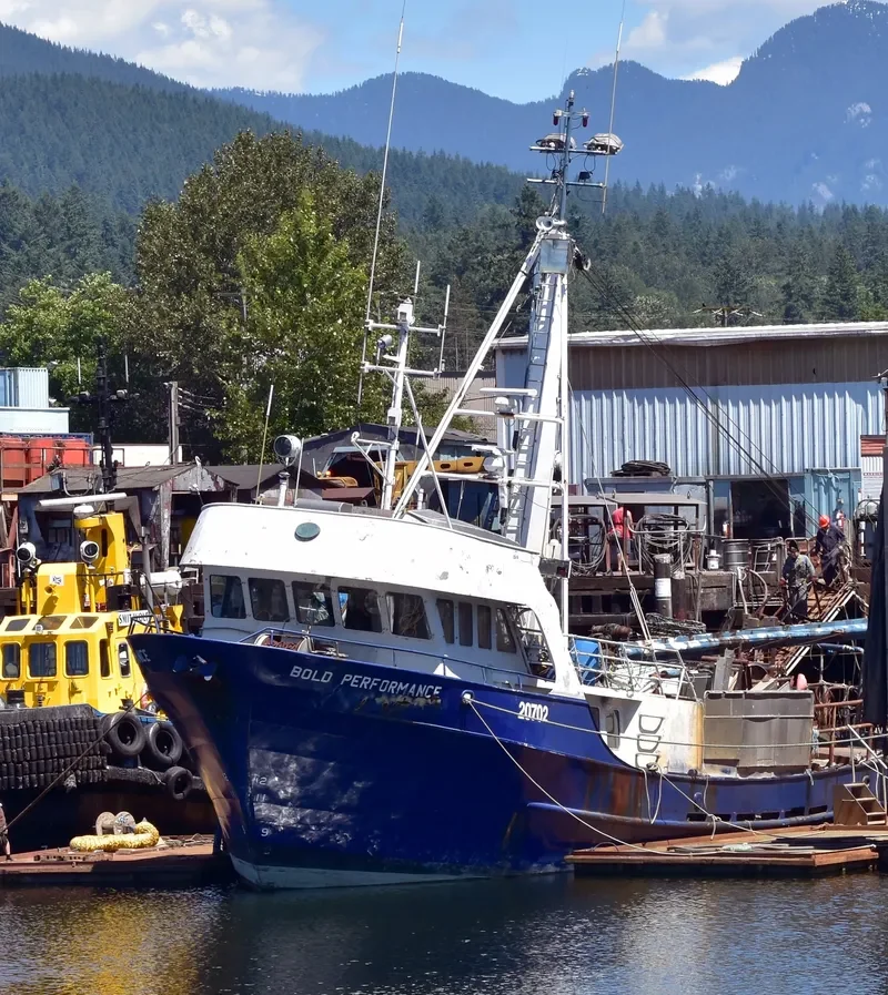 BOLD PERFORMANCE Fishing Vessel IMO 7902207