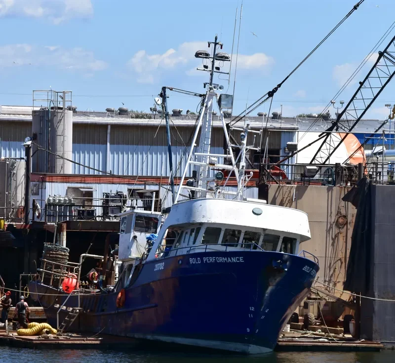 BOLD PERFORMANCE Fishing Vessel IMO 7902207 photo 2
