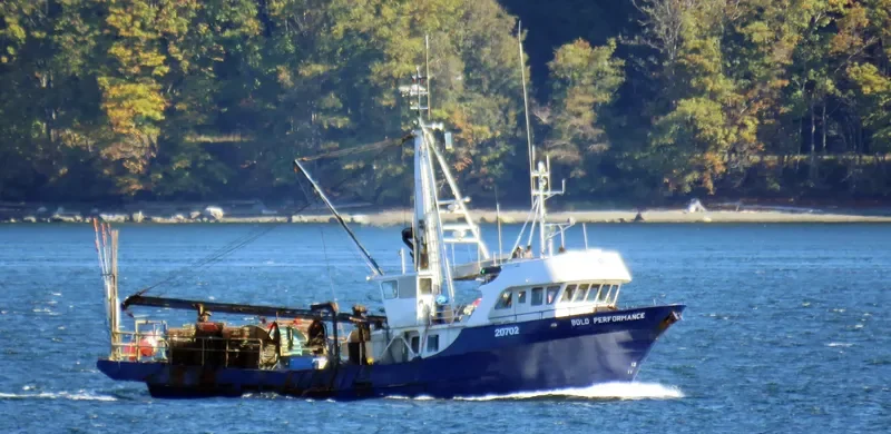 BOLD PERFORMANCE Fishing Vessel IMO 7902207 photo 3