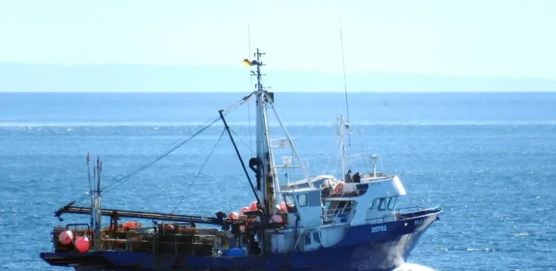 BOLD PERFORMANCE Fishing Vessel IMO 7902207 photo 4