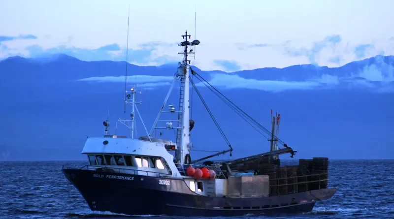 BOLD PERFORMANCE Fishing Vessel IMO 7902207 photo 5