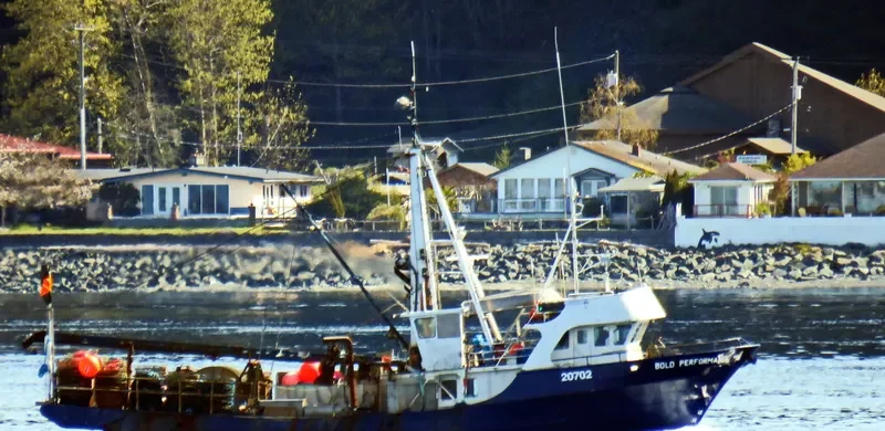 BOLD PERFORMANCE Fishing Vessel IMO 7902207 photo 6