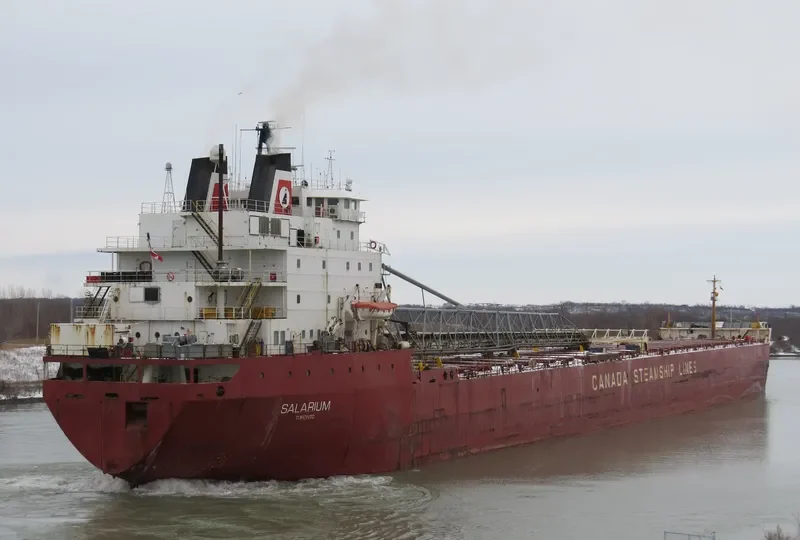 SALARIUM Bulk Carrier IMO 7902233