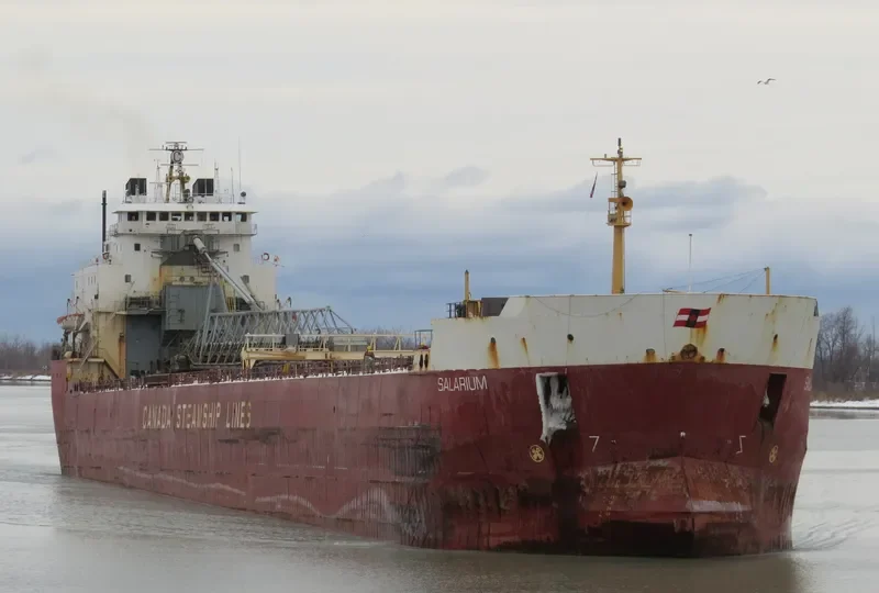 SALARIUM Bulk Carrier IMO 7902233 photo 2