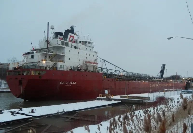 SALARIUM Bulk Carrier IMO 7902233 photo 4