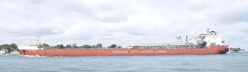 SALARIUM Bulk Carrier IMO 7902233 photo 6