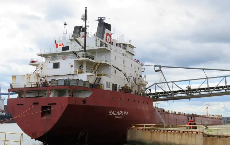SALARIUM Bulk Carrier IMO 7902233 photo 10