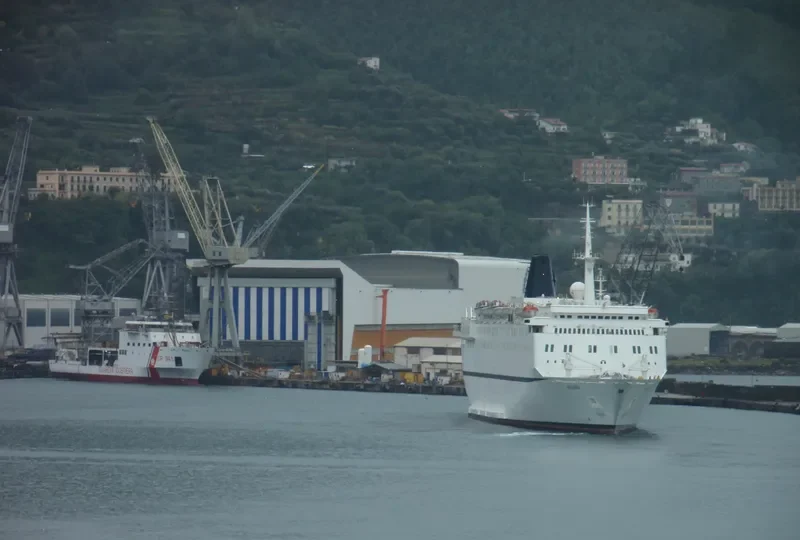 QING Passenger Ship IMO 7902295 photo 7