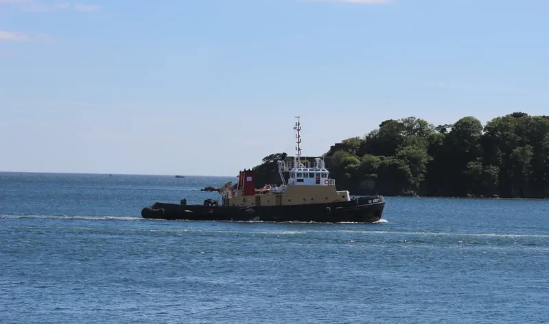 SD ADEPT General Cargo IMO 7902324 photo 6