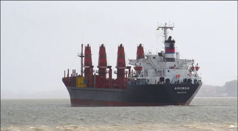 WAN JIA Bulk Carrier IMO 7903017