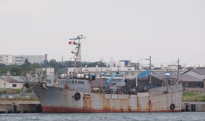 MUINE Reefer IMO 7903782