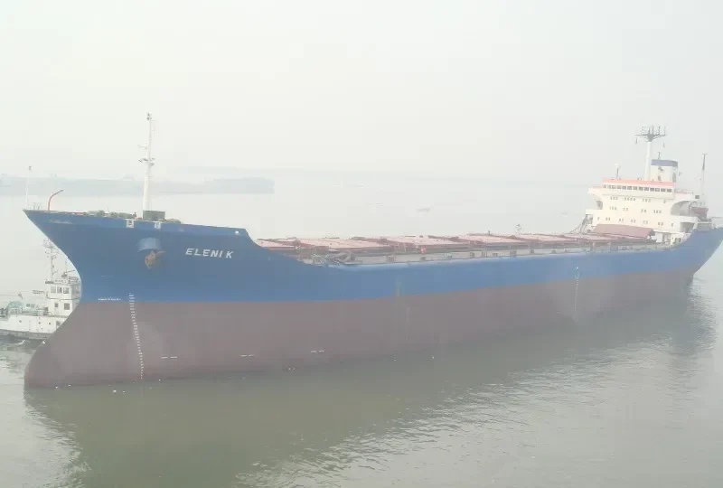 ELENI K Bulk Carrier IMO 7904463 photo 3