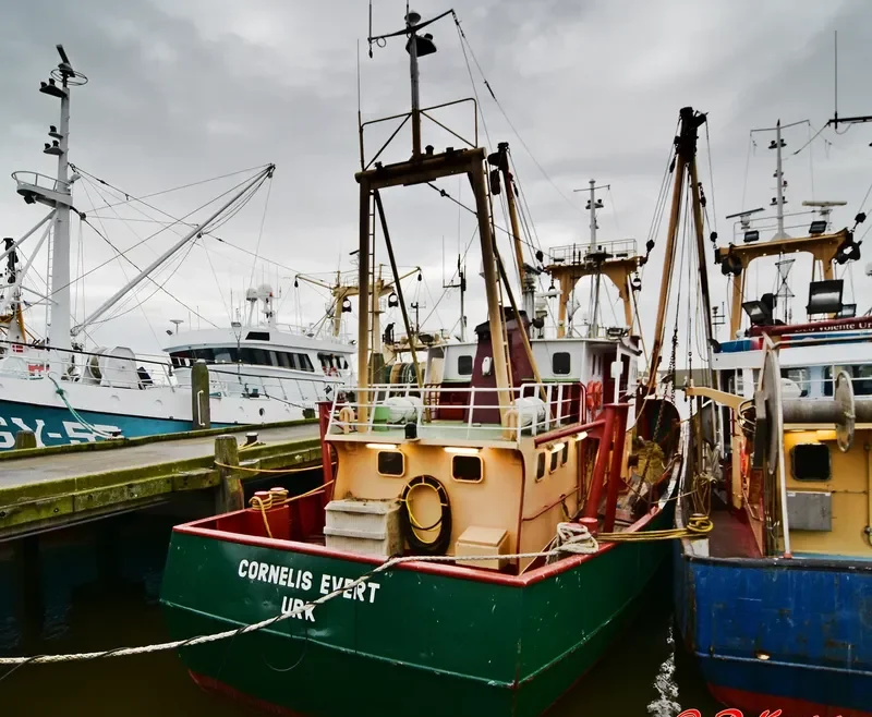 CORNELIS EVERT Fishing Vessel IMO 7904798