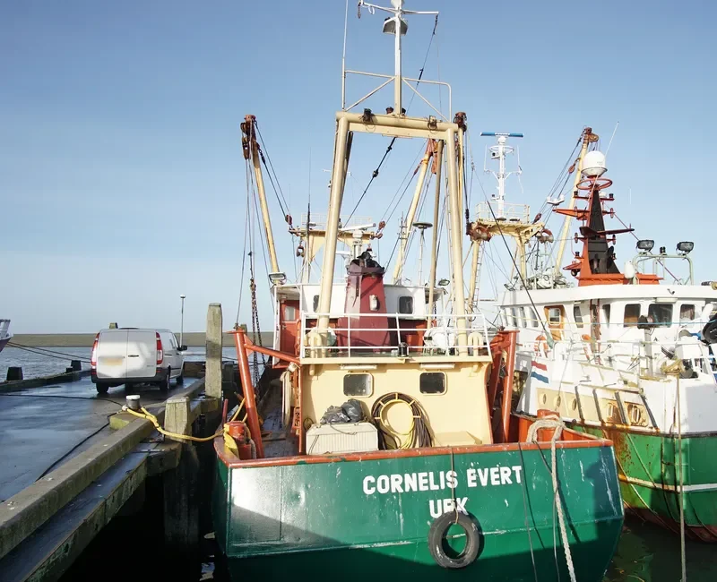CORNELIS EVERT Fishing Vessel IMO 7904798 photo 3