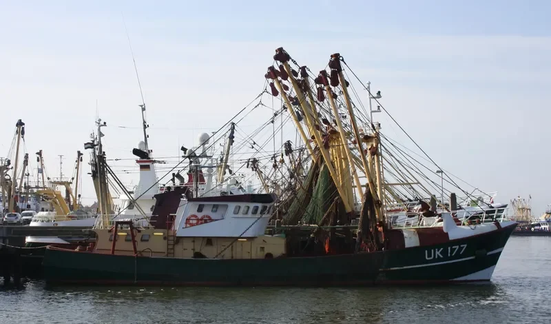 CORNELIS EVERT Fishing Vessel IMO 7904798 photo 4