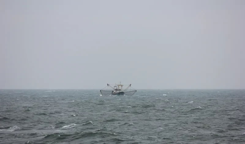 CORNELIS EVERT Fishing Vessel IMO 7904798 photo 8