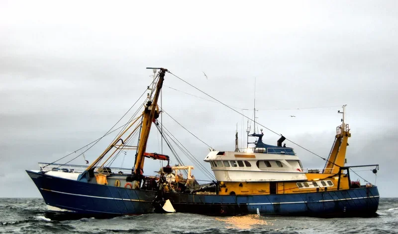 FRIENDSHIP General Cargo IMO 7904827 photo 2