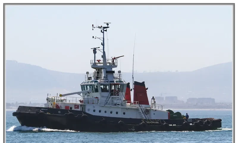 MERLOT General Cargo IMO 7905429 photo 5