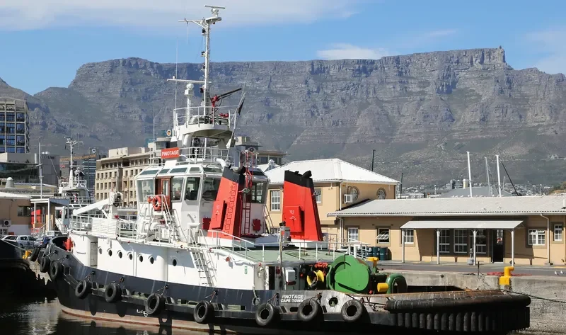 PINOTAGE General Cargo IMO 7905431 photo 4