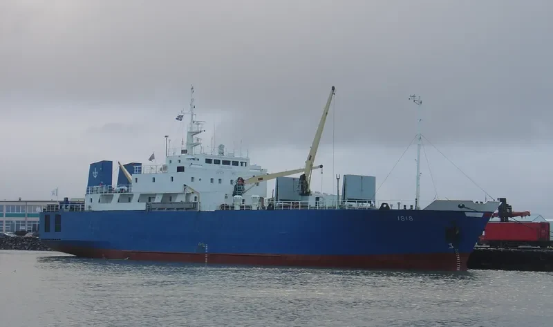 VILENA Ro-Ro IMO 7905481 photo 8
