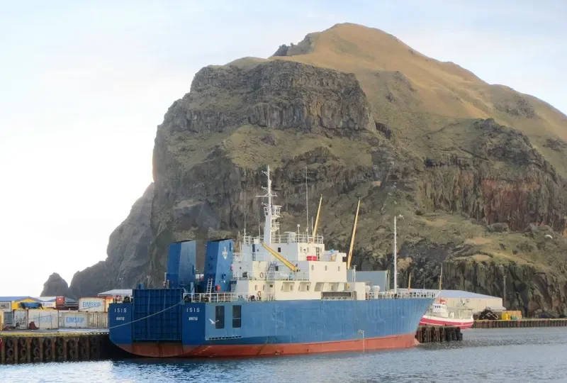 VILENA Ro-Ro IMO 7905481 photo 10