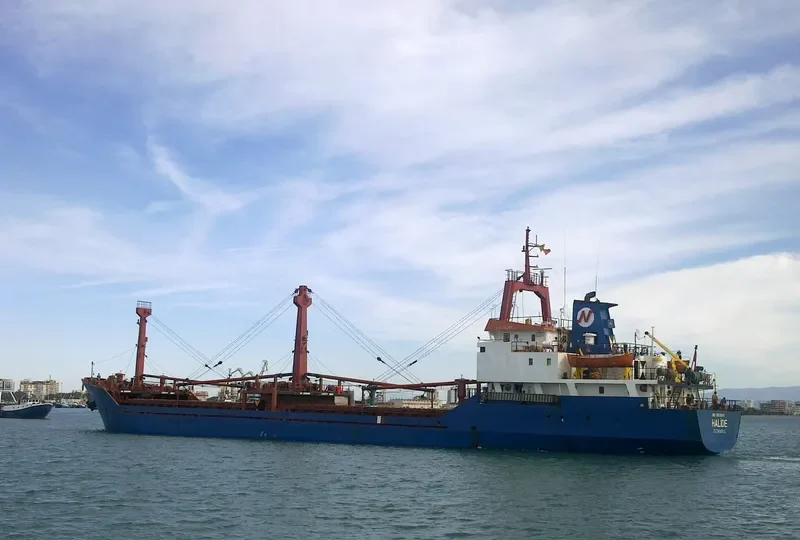 GULUZAR ISIK General Cargo IMO 7905649 photo 4