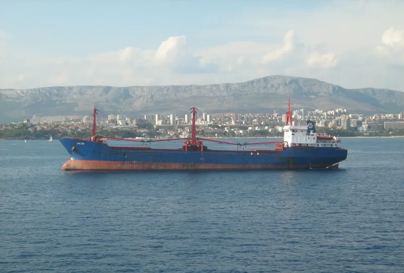 GULUZAR ISIK General Cargo IMO 7905649 photo 10