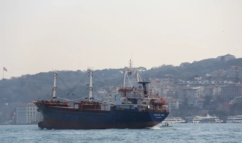 HACERE ANA General Cargo IMO 7905663 photo 5