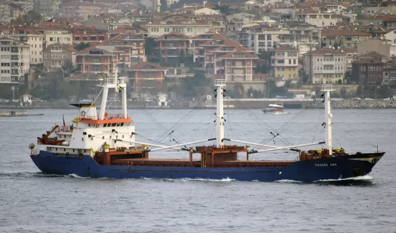 HACERE ANA General Cargo IMO 7905663 photo 8