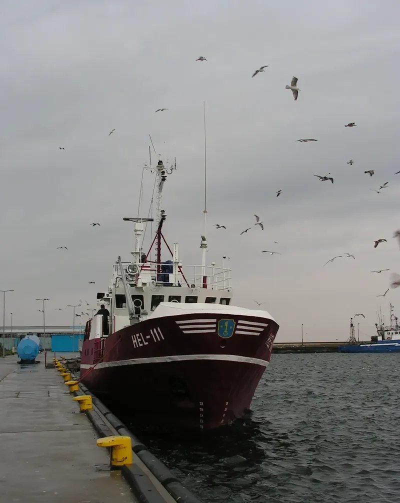 HEL 111 Fishing Vessel IMO 7906021 photo 8