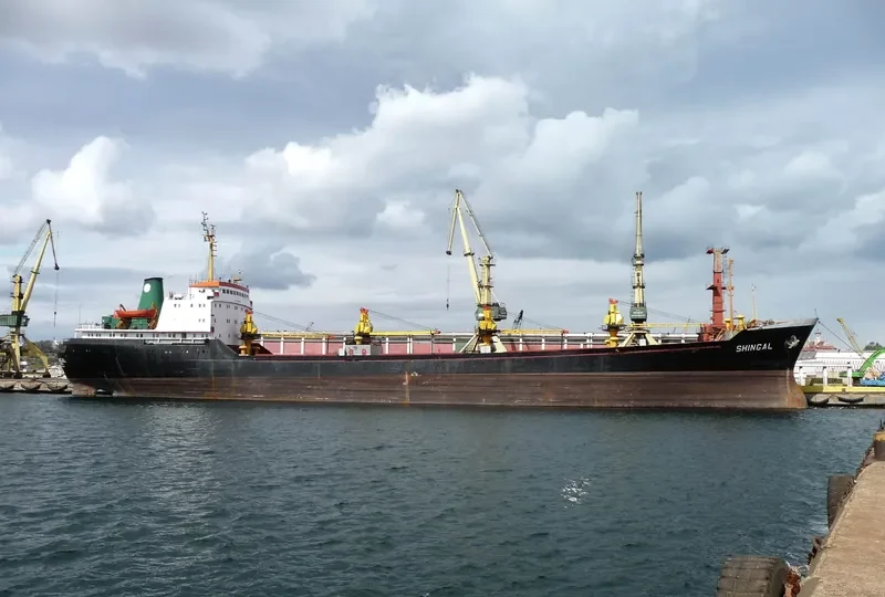 SHINGAL General Cargo IMO 7906124