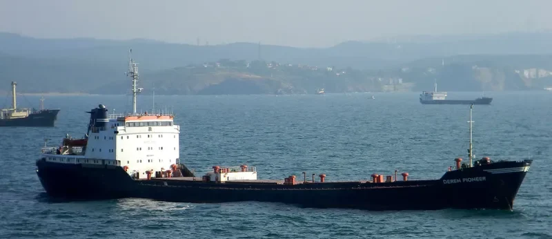 DEREN PIONEER General Cargo IMO 7906306 photo 3
