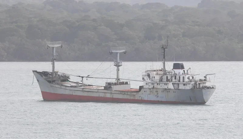 MINERVA IVANNA General Cargo IMO 7906605 photo 2