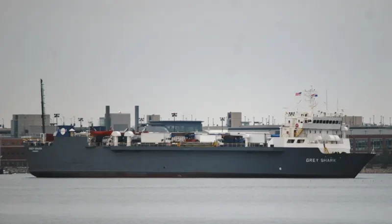 GREY SHARK Ro-Ro IMO 7907647