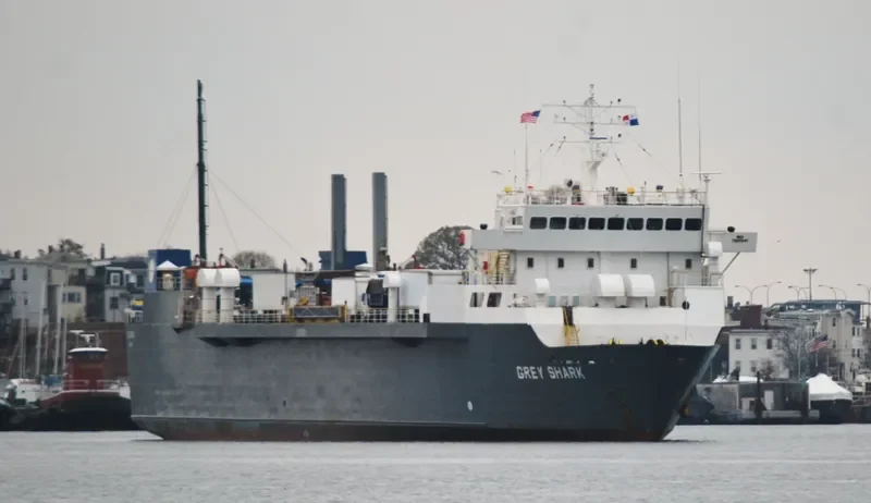 GREY SHARK Ro-Ro IMO 7907647 photo 2