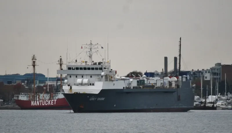 GREY SHARK Ro-Ro IMO 7907647 photo 3