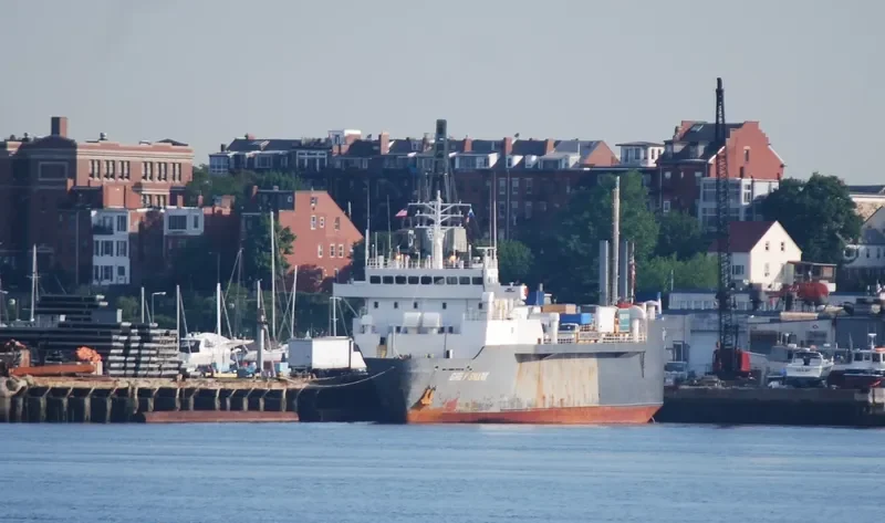 GREY SHARK Ro-Ro IMO 7907647 photo 4